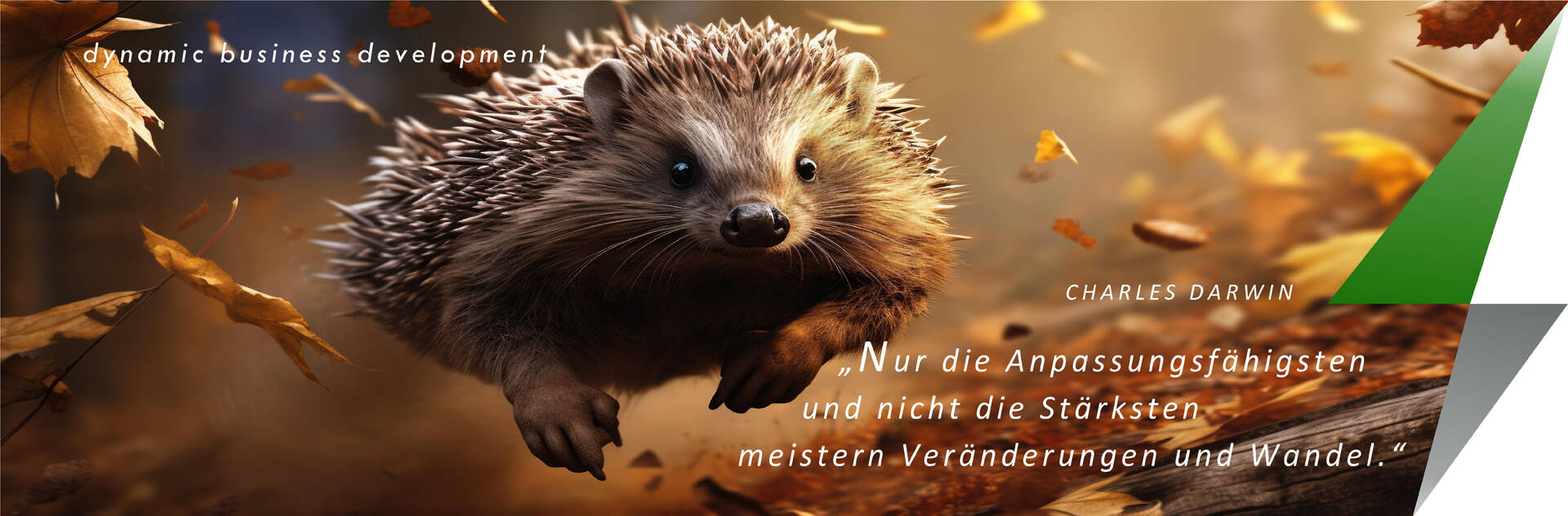 Schwung für Ihr Unternehmen mit evolution-consulting