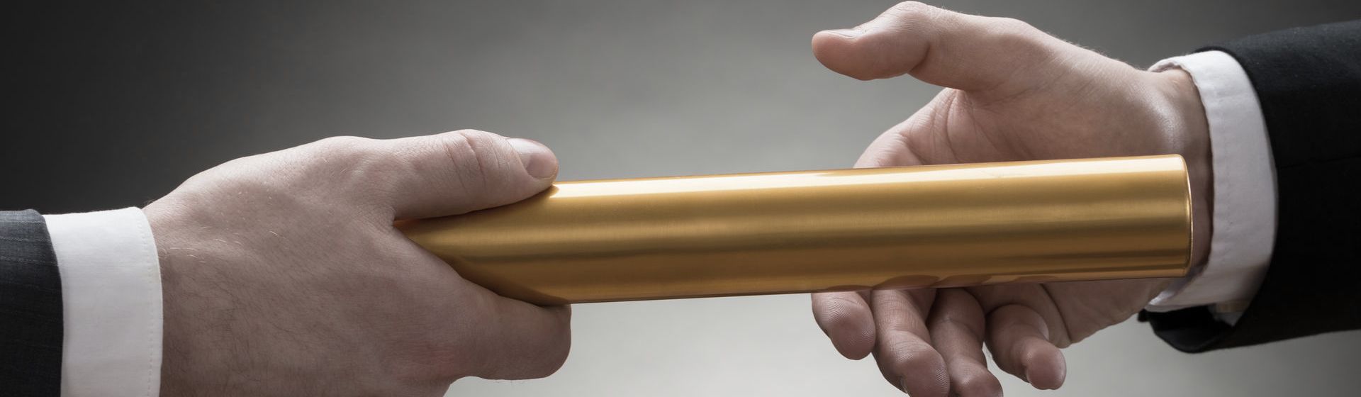 Dynamic Business Development von evolution consulting Projektmanagement für alle Stufen des Listen, Learn & Lead Prozesses